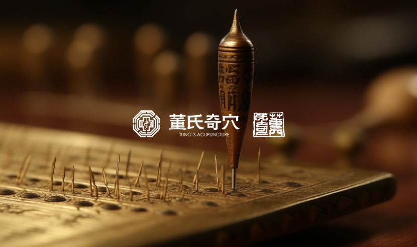 董氏奇穴官方網站建設項目開通上線啦！