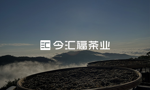 今匯福茶葉官方網(wǎng)站建設項目開通上線啦！